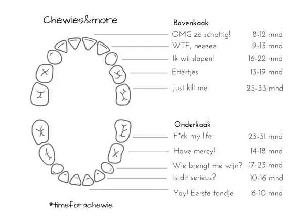 Tandjes! Wanneer krijgt je kleintje ze en wat kan je voor ze doen?